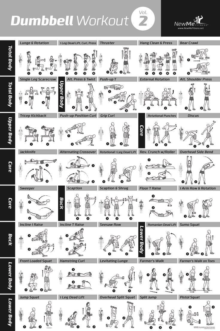 dumbbell workouts for beginners pdf